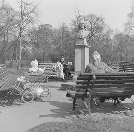 odpoczynek w towarzystwie Karola Linneusza