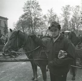 Mężczyzna obok konia