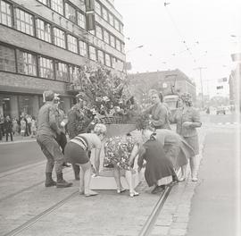 XI Wrocławskie Święto Kwiatów