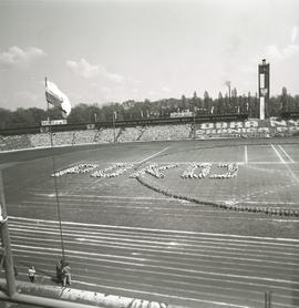 Płyta Stadionu