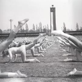 Pokaz gimnastycznym na Stadionie Olimpijskim