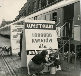 1000 kwiatów dla pafawagu