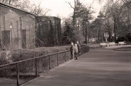 Dzieci w ZOO