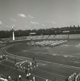 Pokaz gimnastycznym na Stadionie Olimpijskim