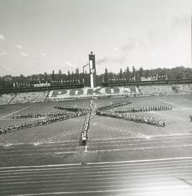 Pokaz gimnastyczny