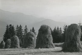 Tatry