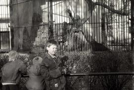 Dzieci w ZOO