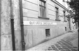 Quo vadis Cardinale?