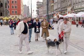 Wrocławski Rynek