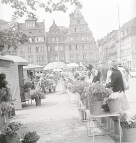 Stoiska wrocławskich kwiaciarek na pl. Solnym