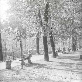 Park Szczytnicki we Wrocławiu