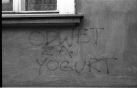 Odwet za yogurt