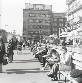 Przystanek autobusowy przy ul. Kazimierza Wielkiego we Wrocławiu