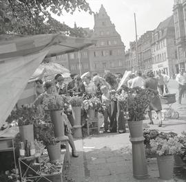 Stoiska wrocławskich kwiaciarek na pl. Solnym