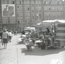 Stoiska wrocławskich kwiaciarek na pl. Solnym