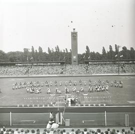 Finał Mistrzostw Świata Par na żużlu 1975