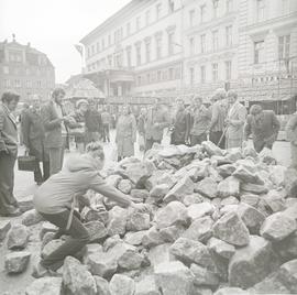 Prasołki czyli Wrocławskie Targi Solne