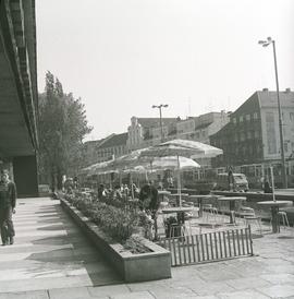 Ogródek letni baru Barbara we Wrocławiu