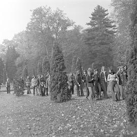 Park pałacowy w Rogalinie