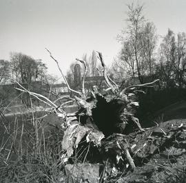 Zatoka Gondoli obok Muzeum Narodowego we Wrocławiu