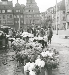 Stoiska wrocławskich kwiaciarek na pl. Solnym