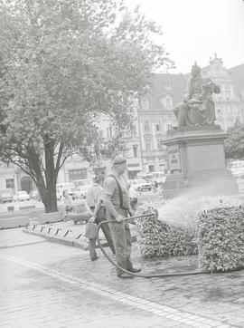 Wrocławskie Święto Kwiatów